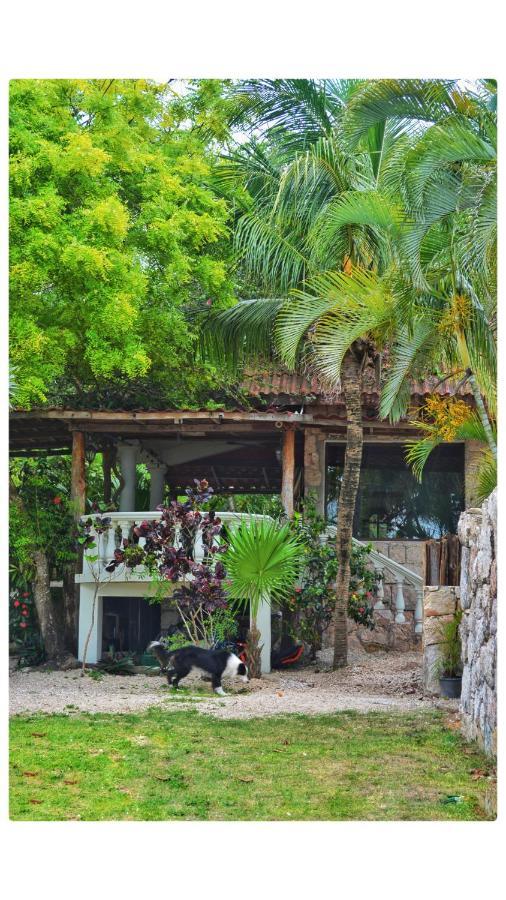 Tortuga Bacalar Bed and Breakfast Εξωτερικό φωτογραφία