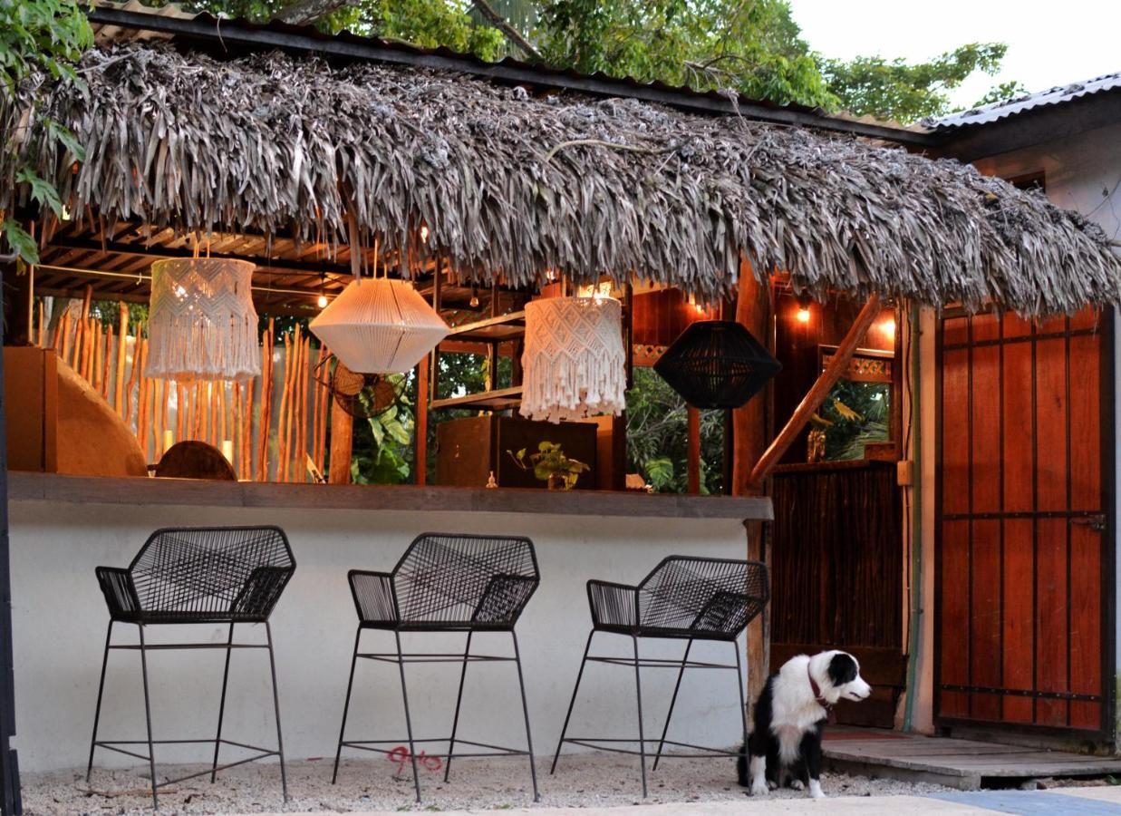 Tortuga Bacalar Bed and Breakfast Εξωτερικό φωτογραφία