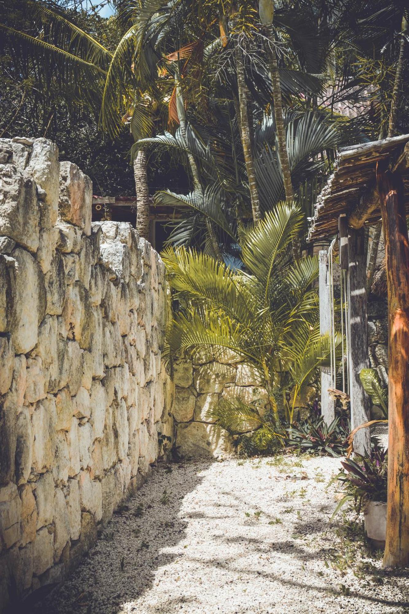 Tortuga Bacalar Bed and Breakfast Εξωτερικό φωτογραφία