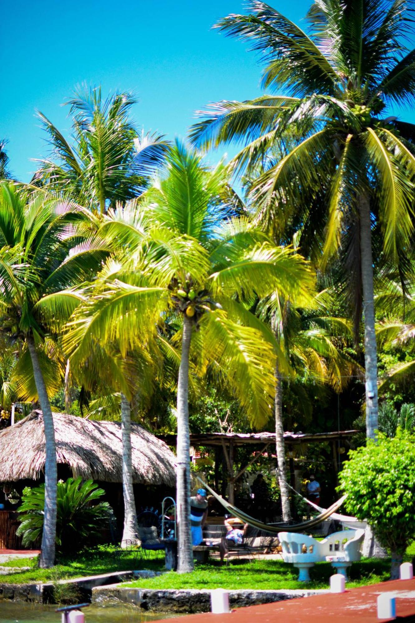 Tortuga Bacalar Bed and Breakfast Εξωτερικό φωτογραφία